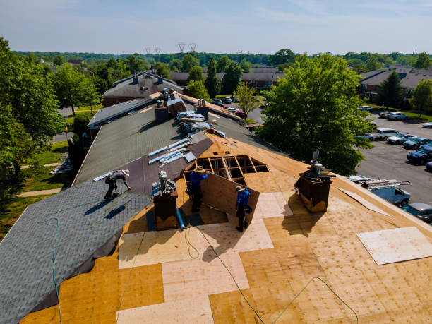 Best Roof Gutter Cleaning  in Marmora, NJ